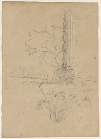 Temple of Zeus and Papyrus on the Anapo River, near Syracuse, Sicily, 1842 by Thomas Cole